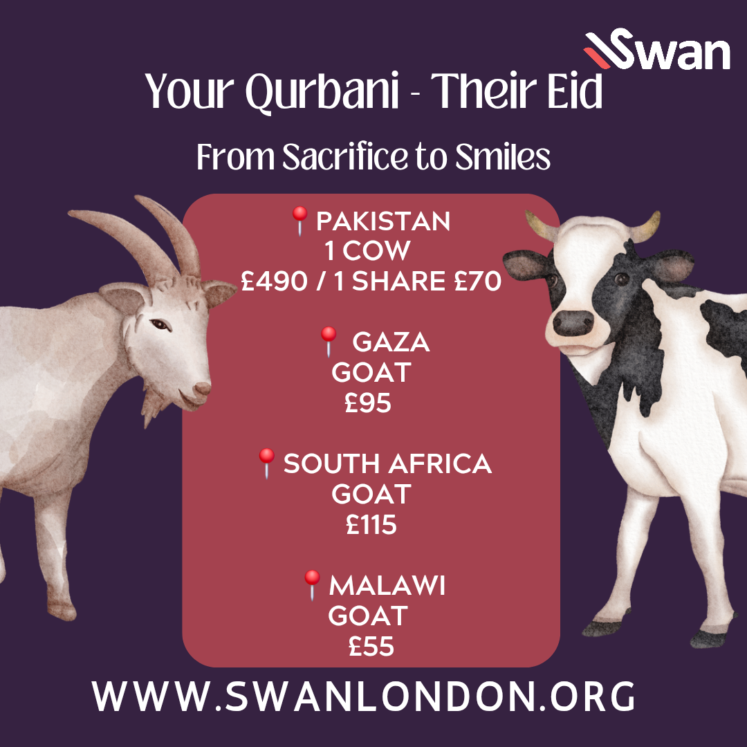 Image for QURBANI 2025