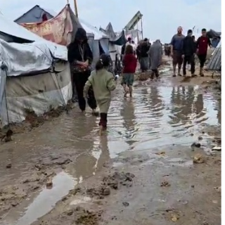 Image for GAZA WINTER APPEAL